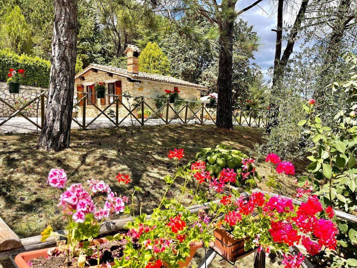 La Panoramica Gubbio - Maison De Charme - Casette E Appartamenti Self Catering Per Vacanze Meravigliose! Exteriér fotografie