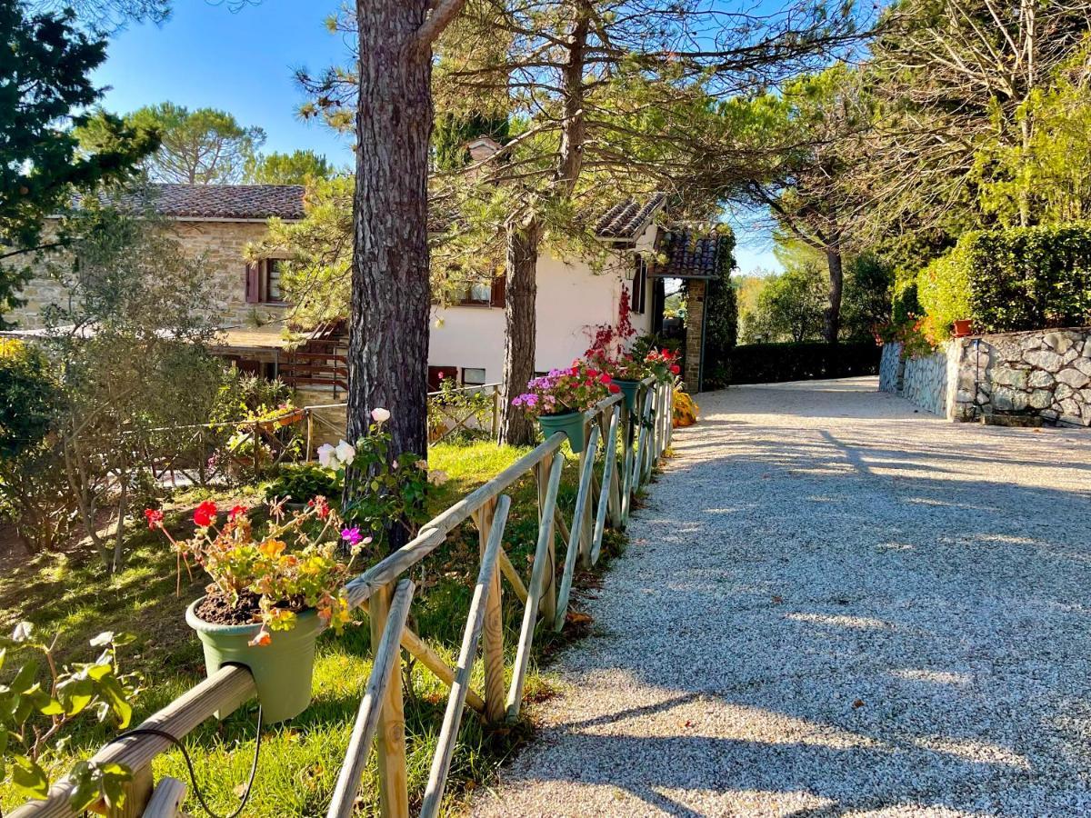 La Panoramica Gubbio - Maison De Charme - Casette E Appartamenti Self Catering Per Vacanze Meravigliose! Exteriér fotografie