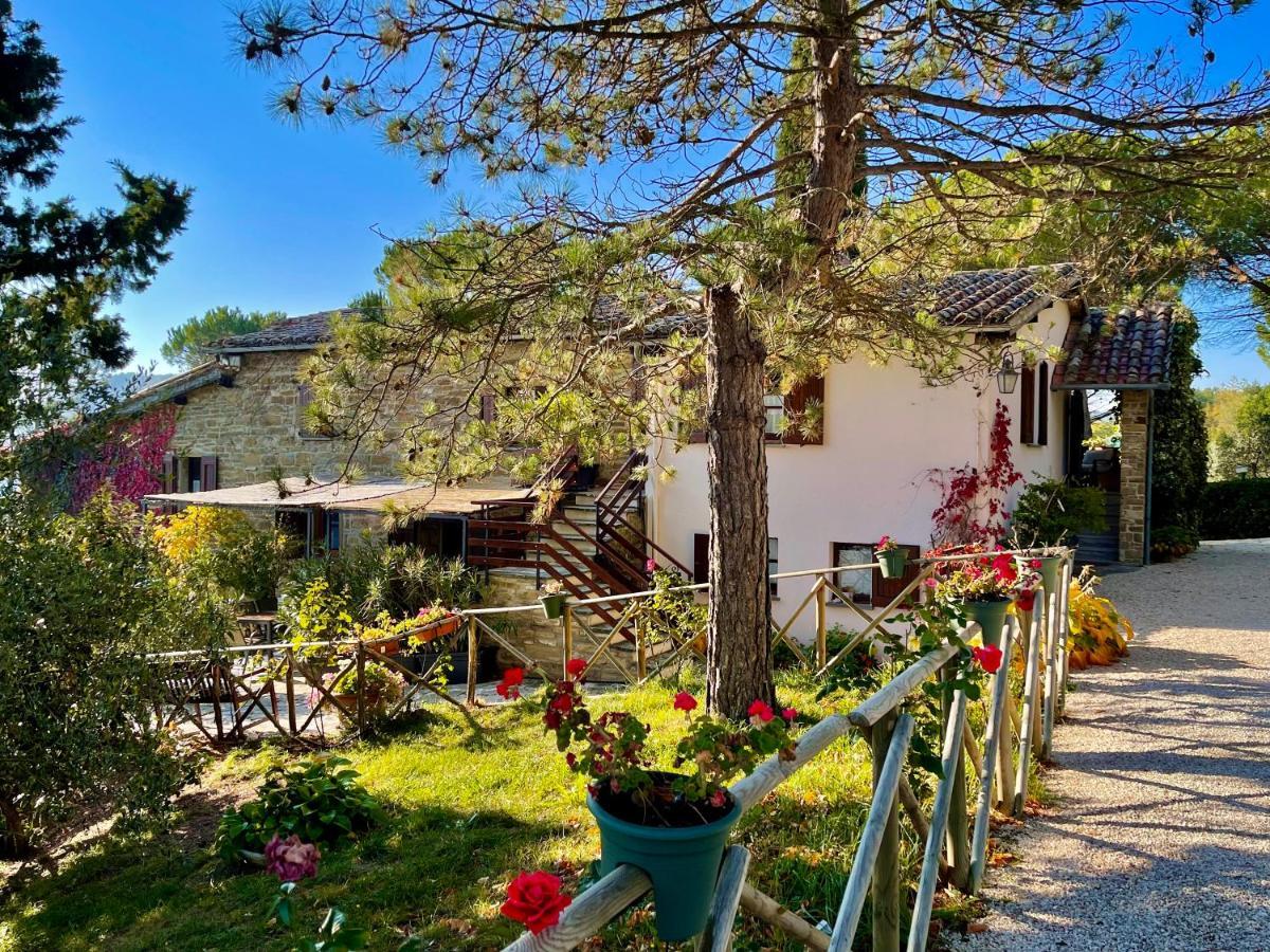 La Panoramica Gubbio - Maison De Charme - Casette E Appartamenti Self Catering Per Vacanze Meravigliose! Exteriér fotografie