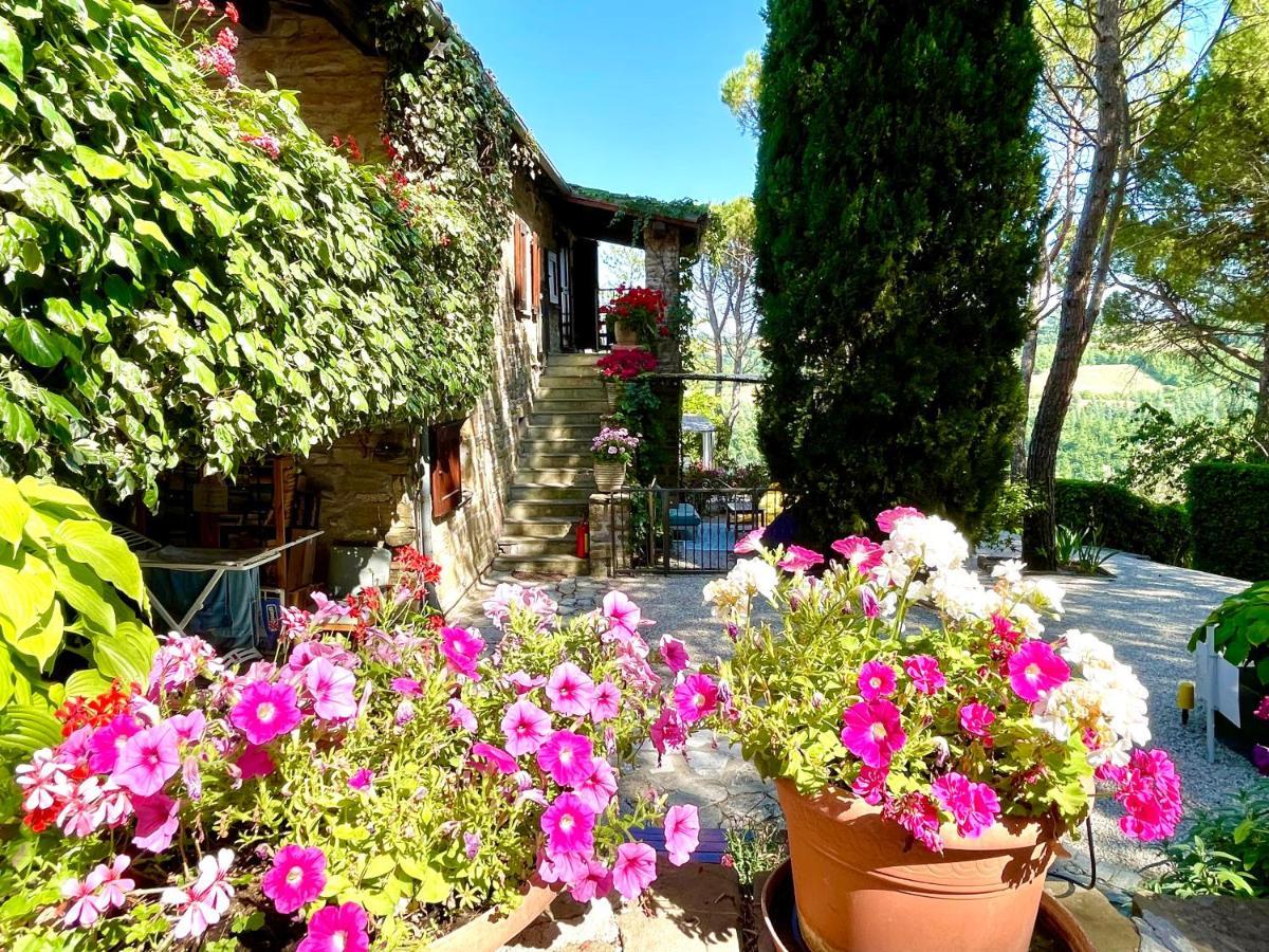 La Panoramica Gubbio - Maison De Charme - Casette E Appartamenti Self Catering Per Vacanze Meravigliose! Exteriér fotografie